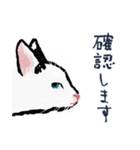 こっちゃんの、日常茶飯事（個別スタンプ：7）