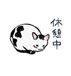 こっちゃんの、日常茶飯事（個別スタンプ：9）