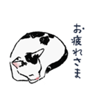 こっちゃんの、日常茶飯事（個別スタンプ：10）