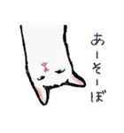 こっちゃんの、日常茶飯事（個別スタンプ：11）