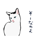 こっちゃんの、日常茶飯事（個別スタンプ：13）