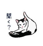 こっちゃんの、日常茶飯事（個別スタンプ：16）
