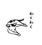 こっちゃんの、日常茶飯事（個別スタンプ：17）