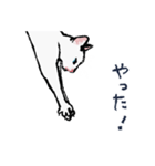こっちゃんの、日常茶飯事（個別スタンプ：18）