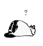 こっちゃんの、日常茶飯事（個別スタンプ：19）