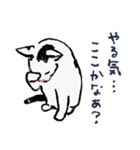 こっちゃんの、日常茶飯事（個別スタンプ：22）