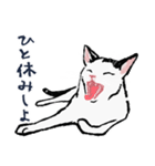 こっちゃんの、日常茶飯事（個別スタンプ：23）