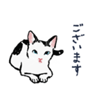 こっちゃんの、日常茶飯事（個別スタンプ：28）