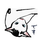 こっちゃんの、日常茶飯事（個別スタンプ：29）