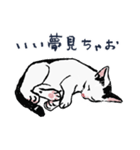 こっちゃんの、日常茶飯事（個別スタンプ：33）