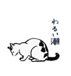 こっちゃんの、日常茶飯事（個別スタンプ：36）