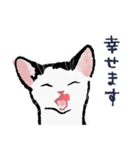 こっちゃんの、日常茶飯事（個別スタンプ：39）