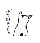 こっちゃんの、日常茶飯事（個別スタンプ：40）