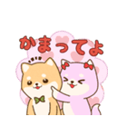 SDアニマルズ 柴犬カップル！（個別スタンプ：11）