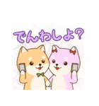 SDアニマルズ 柴犬カップル！（個別スタンプ：13）