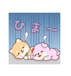 SDアニマルズ 柴犬カップル！（個別スタンプ：16）