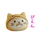 もち猫、ぷにっと一言（個別スタンプ：3）