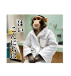 架空の自称医者猿【関西弁】（個別スタンプ：1）