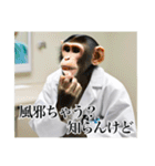 架空の自称医者猿【関西弁】（個別スタンプ：7）