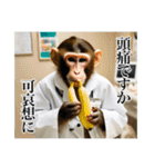 架空の自称医者猿【関西弁】（個別スタンプ：9）