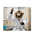 架空の自称医者猿【関西弁】（個別スタンプ：13）