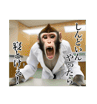 架空の自称医者猿【関西弁】（個別スタンプ：14）