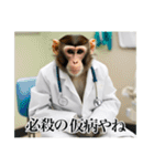 架空の自称医者猿【関西弁】（個別スタンプ：15）
