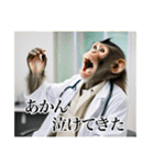 架空の自称医者猿【関西弁】（個別スタンプ：16）
