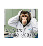 架空の自称医者猿【関西弁】（個別スタンプ：26）