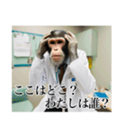 架空の自称医者猿【関西弁】（個別スタンプ：27）