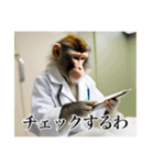 架空の自称医者猿【関西弁】（個別スタンプ：33）