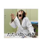 架空の自称医者猿（個別スタンプ：6）