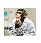 架空の自称医者猿（個別スタンプ：7）