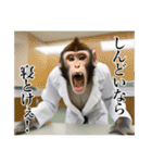 架空の自称医者猿（個別スタンプ：14）