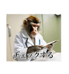 架空の自称医者猿（個別スタンプ：33）