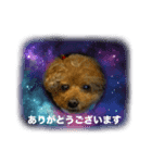 かわいいジェ3（個別スタンプ：3）