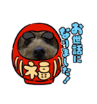 かわいいジェ3（個別スタンプ：4）