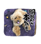 かわいいジェ3（個別スタンプ：9）