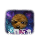 かわいいジェ3（個別スタンプ：11）
