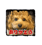 かわいいジェ3（個別スタンプ：14）