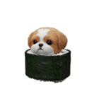 なりきり3Dシーズー（個別スタンプ：32）