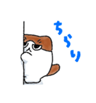 おっとり猫おったま（個別スタンプ：3）