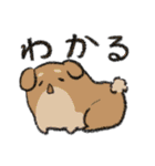 どうぶつスタンプ(24種)（個別スタンプ：23）