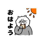 毎日使える！？みーこの日常（個別スタンプ：1）