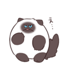 【毒づく】悪態をつくシャム猫もどき（個別スタンプ：1）