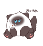 【毒づく】悪態をつくシャム猫もどき（個別スタンプ：17）
