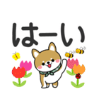 春を感じる♡豆柴・柴犬【デカ文字】（個別スタンプ：1）