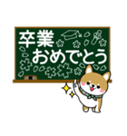 春を感じる♡豆柴・柴犬【デカ文字】（個別スタンプ：15）