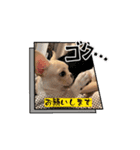 とにかく飲みたいバムケロ（個別スタンプ：4）