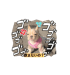 とにかく飲みたいバムケロ（個別スタンプ：5）
